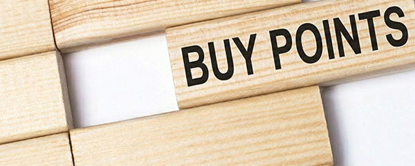 利用ポイント購入